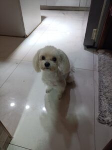 IMG 20250904 220154