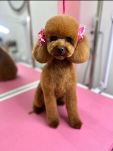 FBB6F43A 86E7 4442 8467 9DE58D780CBA