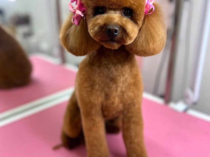 FBB6F43A 86E7 4442 8467 9DE58D780CBA