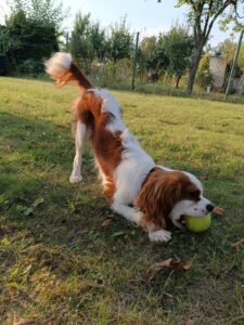 image 349411B7 D347 46C5 BDC6 A136A1EC50AE 1773295635