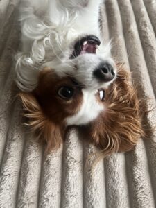 image 5B398CA9 D47E 4663 A187 61E066D316A1 1773295635