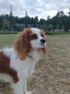 image BC3A4504 B02B 447A 82C3 C7F9C2DCB887 1773295635