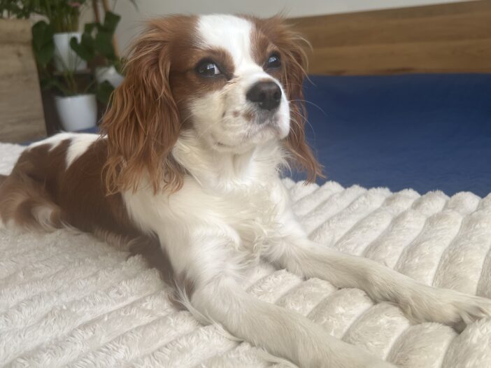 image DF04EC67 E078 40C1 9B5C 6E667A75BBB3 1773295635